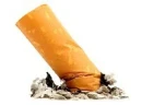 cigarette butt