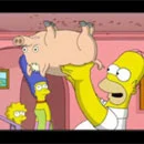 spider pig >.<