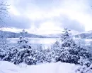 Snow