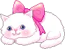 cute white kitty w/ pink bow