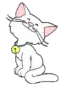 kitty
