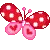 red love butterfly
