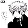 Fruits Basket