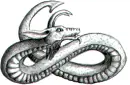 dragon snake