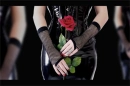 Latex and a rose