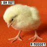 I am not a nugget!