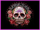 mex skull