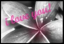 I love you