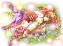 Bed of Flowers