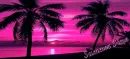 Pink Palms