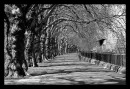 black and white coloured place