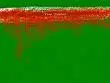 chechen