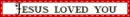 Jesus Loves You