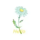 Hello