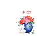 HUGS