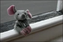 creepy elephant..