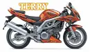 Terry motorcycle