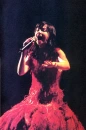 Bjork