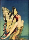 butterflies