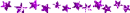 purple starz