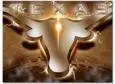texas longhorns