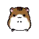 hamster