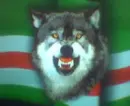 noxchi
