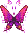 Pink Butterfly