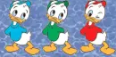  Huey, Dewey and Louie