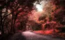 Red wood