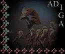adiga