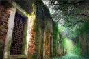 Peacefull Place