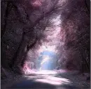 Purple Vision