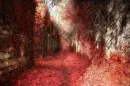 red vision