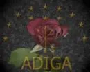 adiga