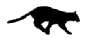 panther running