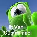 Itt Van Gummimaci