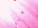 ouran high school host club