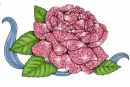 Pink Rose