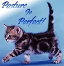 Posture is Perfect!