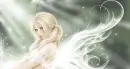 HOT FAIRY