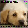Missing You,