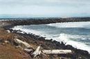 the A Jetty-USCG Cape D