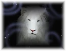 White Lion