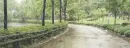 Rainy Day