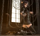 cat