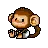 baby monkey