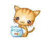 kitty baby 