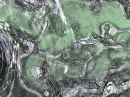 Green Background