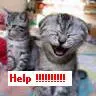 Help!
